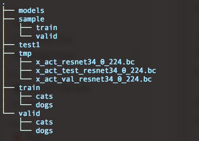 Directory tree struture for the catsdogs dataset